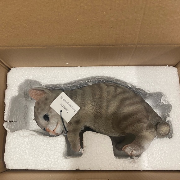 Grey Tabby Kitty Peeker - Picture 4 of 7